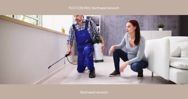 PEST CONTROL Northwest Harwich